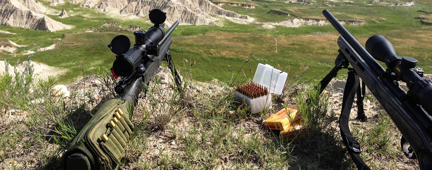 Long Range 101: How To Choose The Right Scope