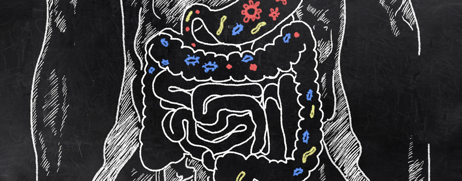 Can a Healthy Gut Microbiome Enhance Your Athletic Performance?