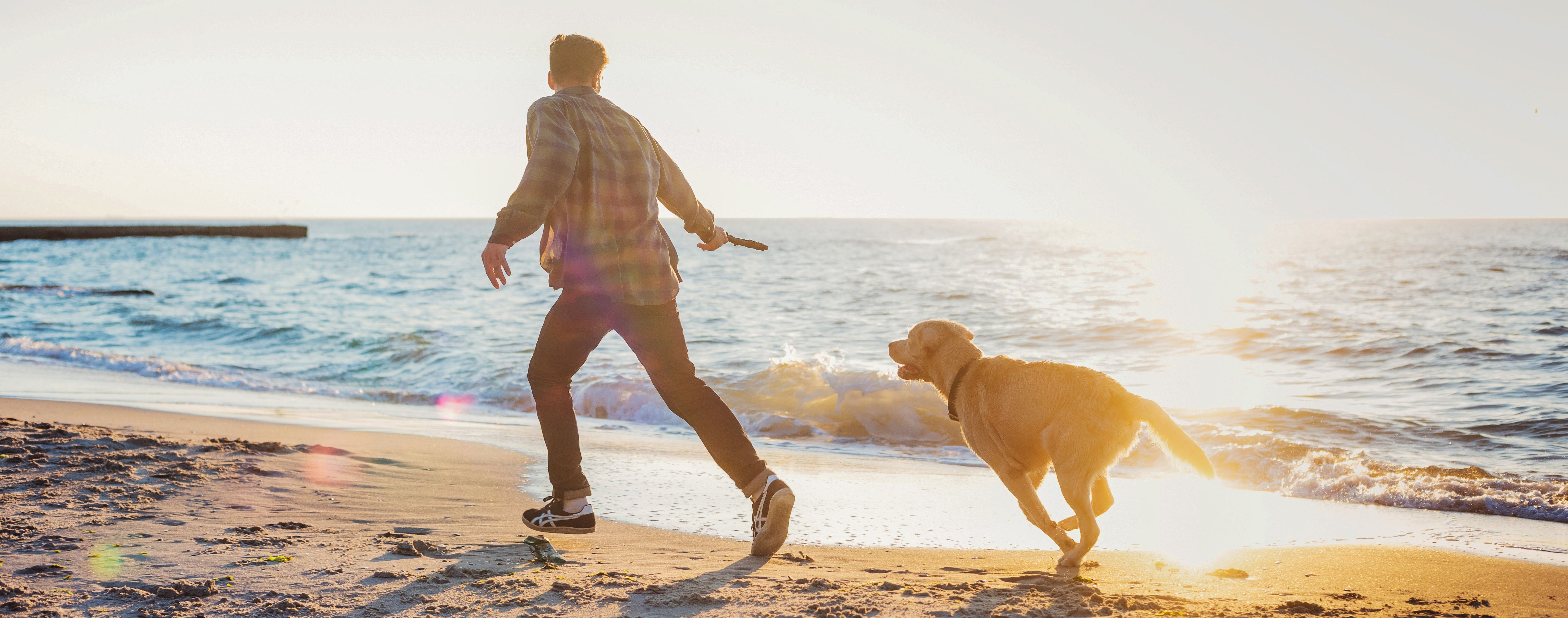 What My Dog Taught Me