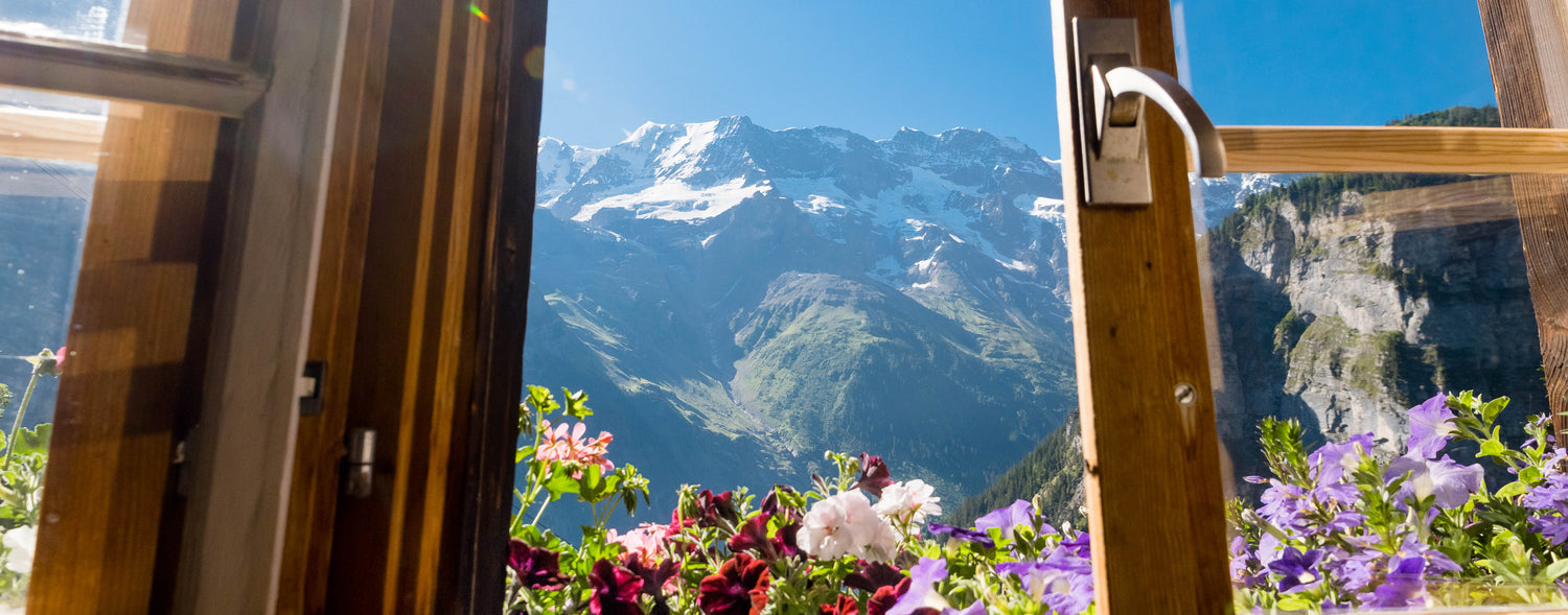 The Summer School Lesson Plan