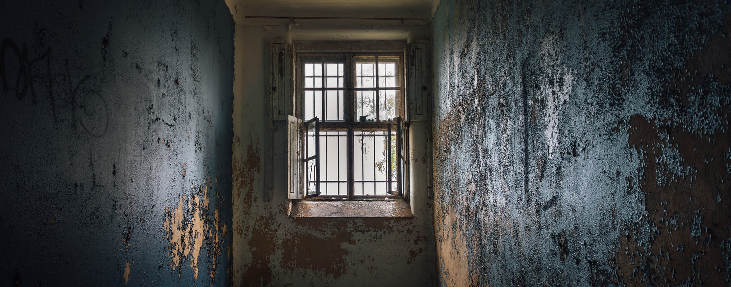 Nellie Bly: Insane Journalism