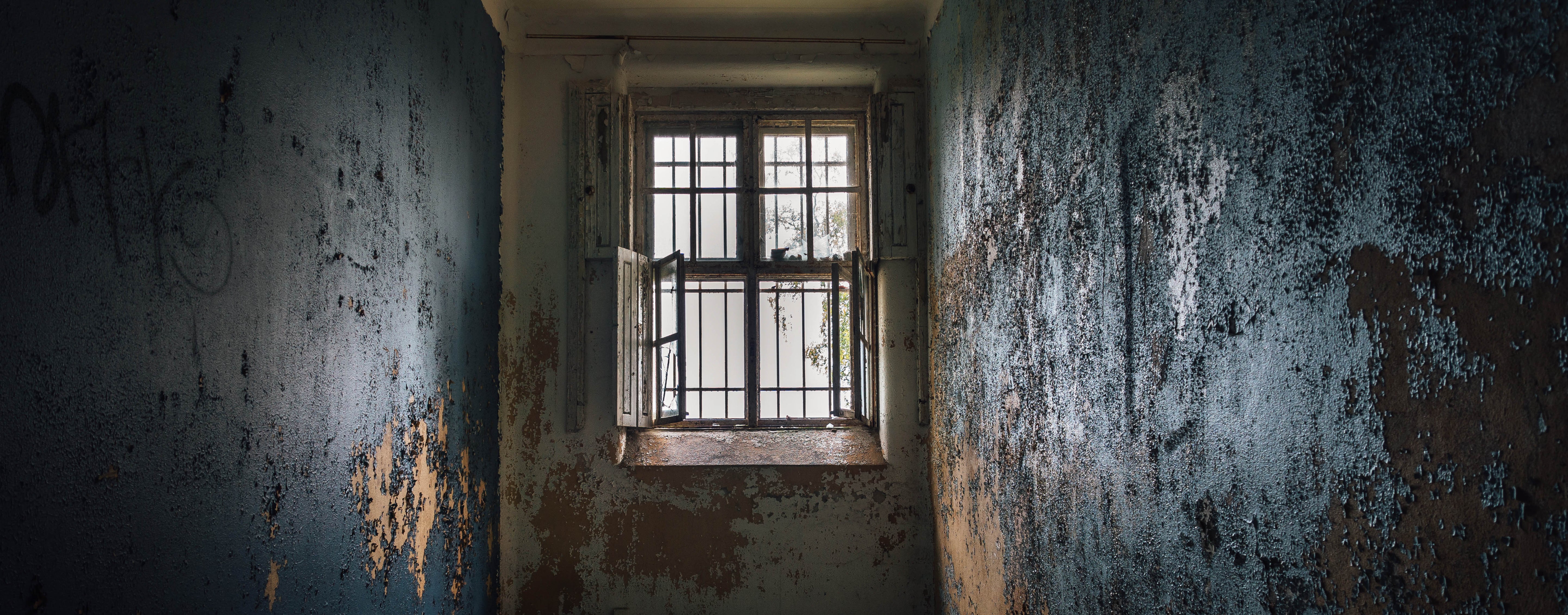 Nellie Bly: Insane Journalism