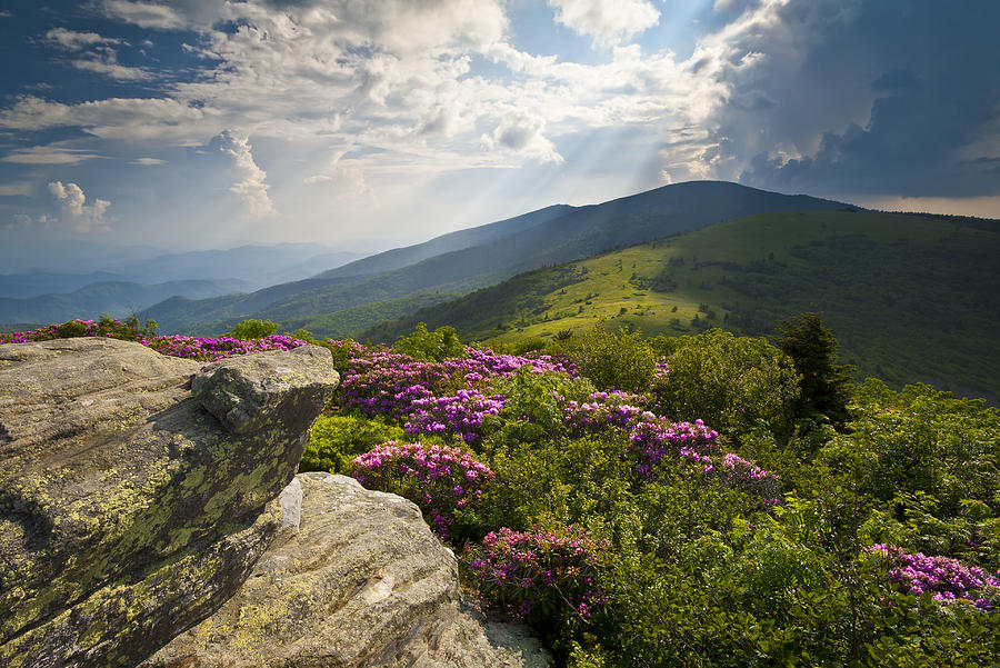 Top 5 Multi-Day Hikes: NC and VA