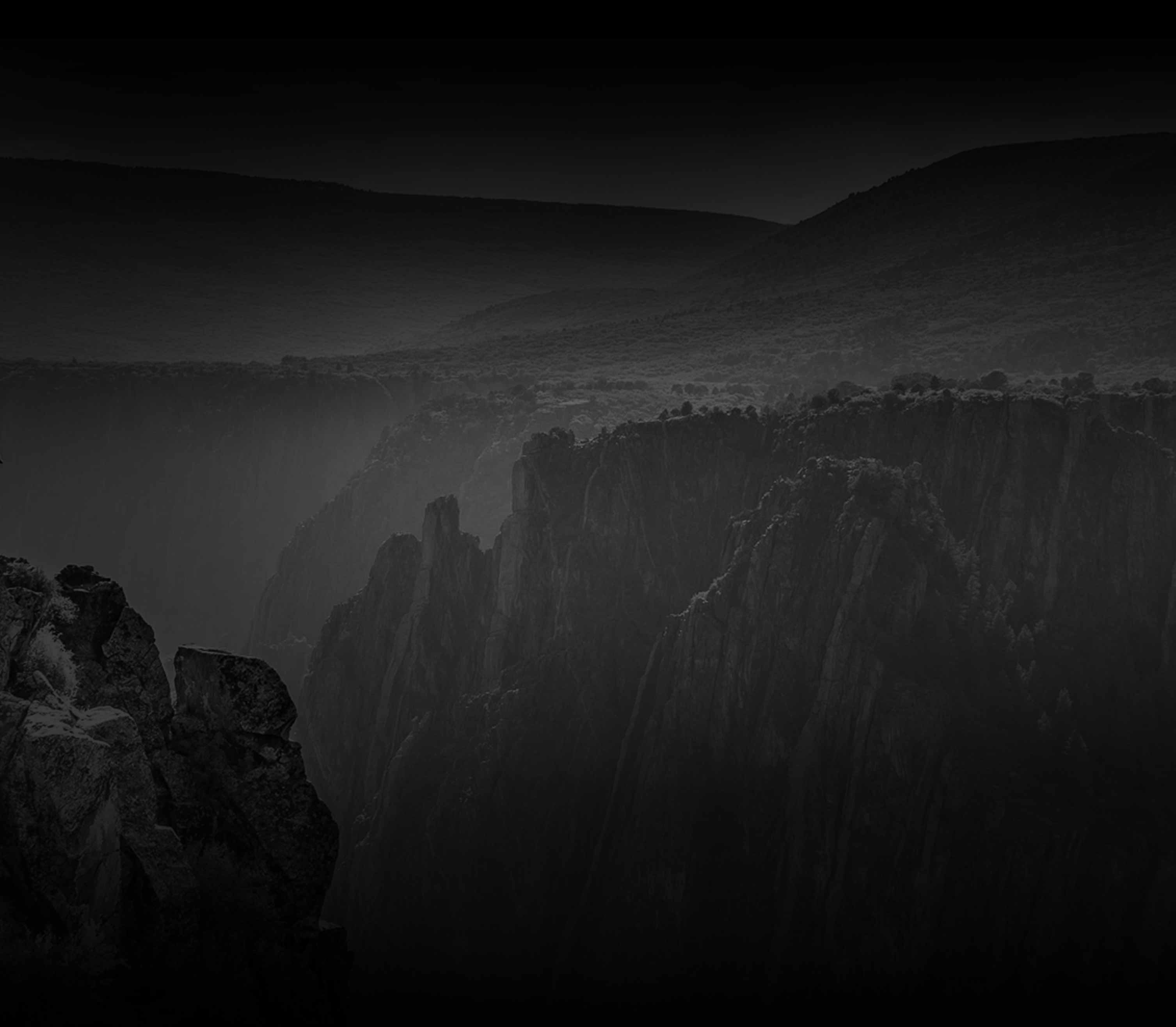 2024 Black Friday Weekend. 25% OFF ALL TEES & HOODIES.