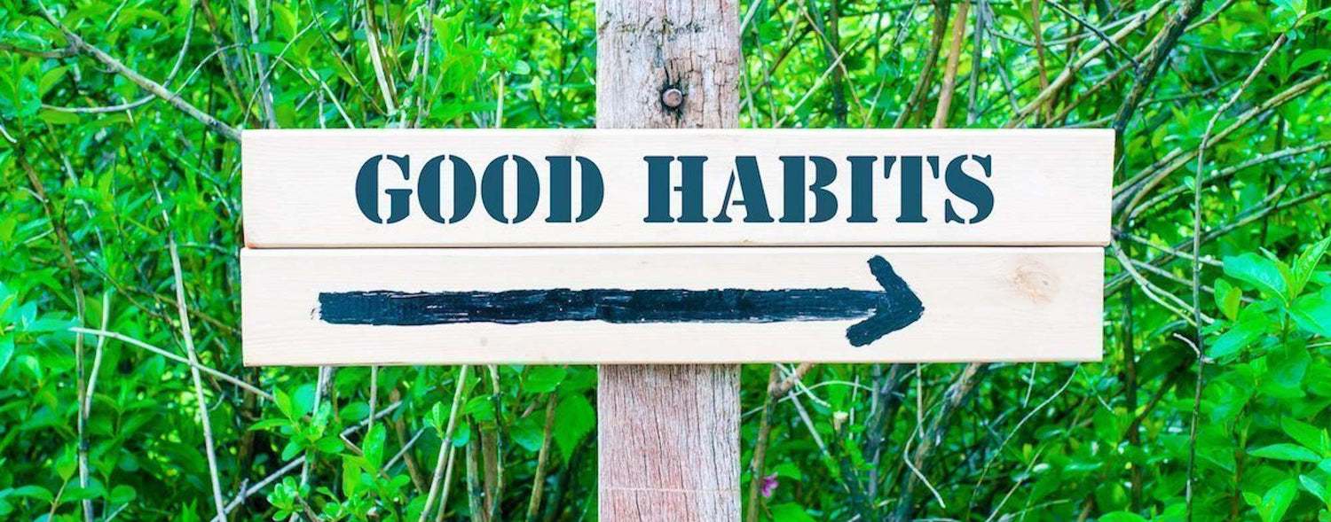 Creating 3 Daily Healthy Habits That Can Prompt Longevity in Your Life