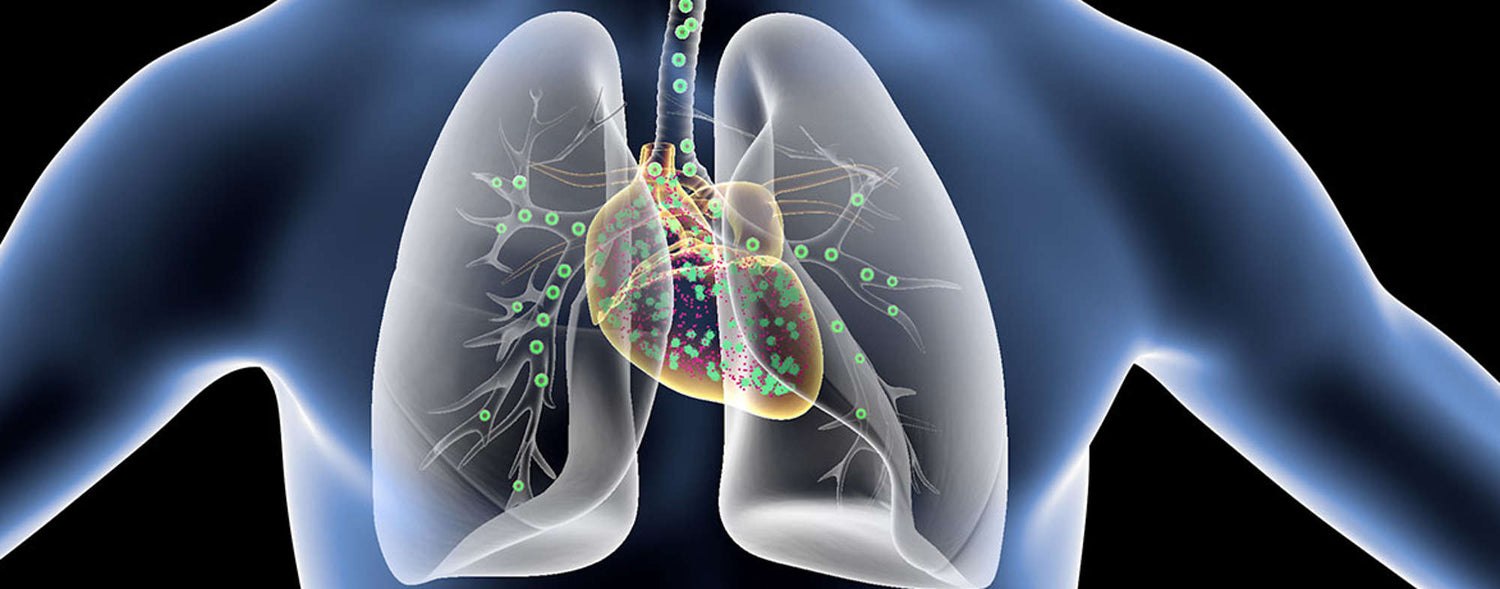 Respiratory Physiology, the Brain, and How to be Better Today Than You Were Yesterday