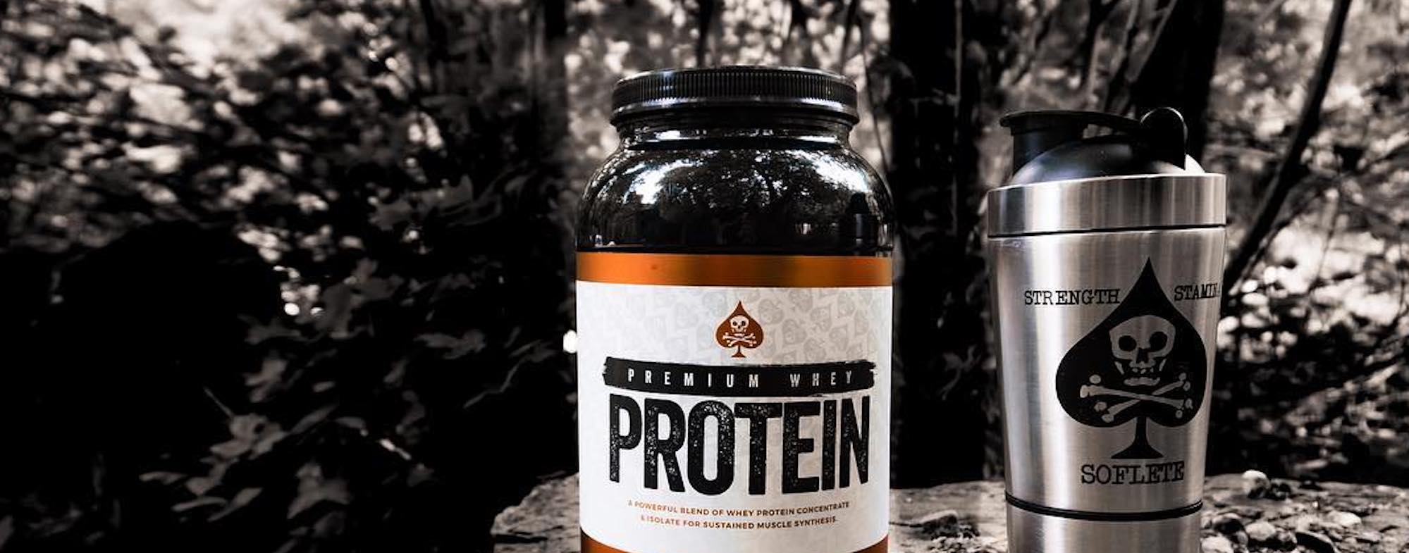 SOFLETE: Protein Artisans