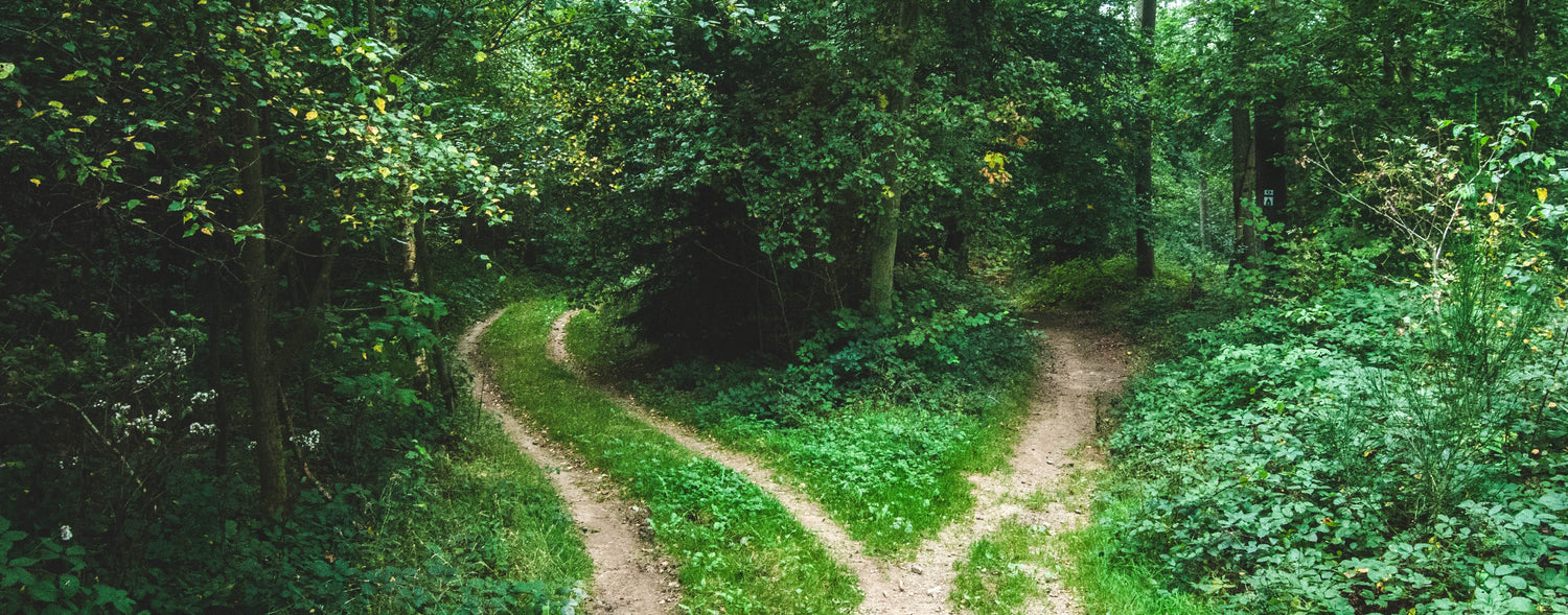 The Road Less Travelled: How "Die Living" Saved Me From Myself