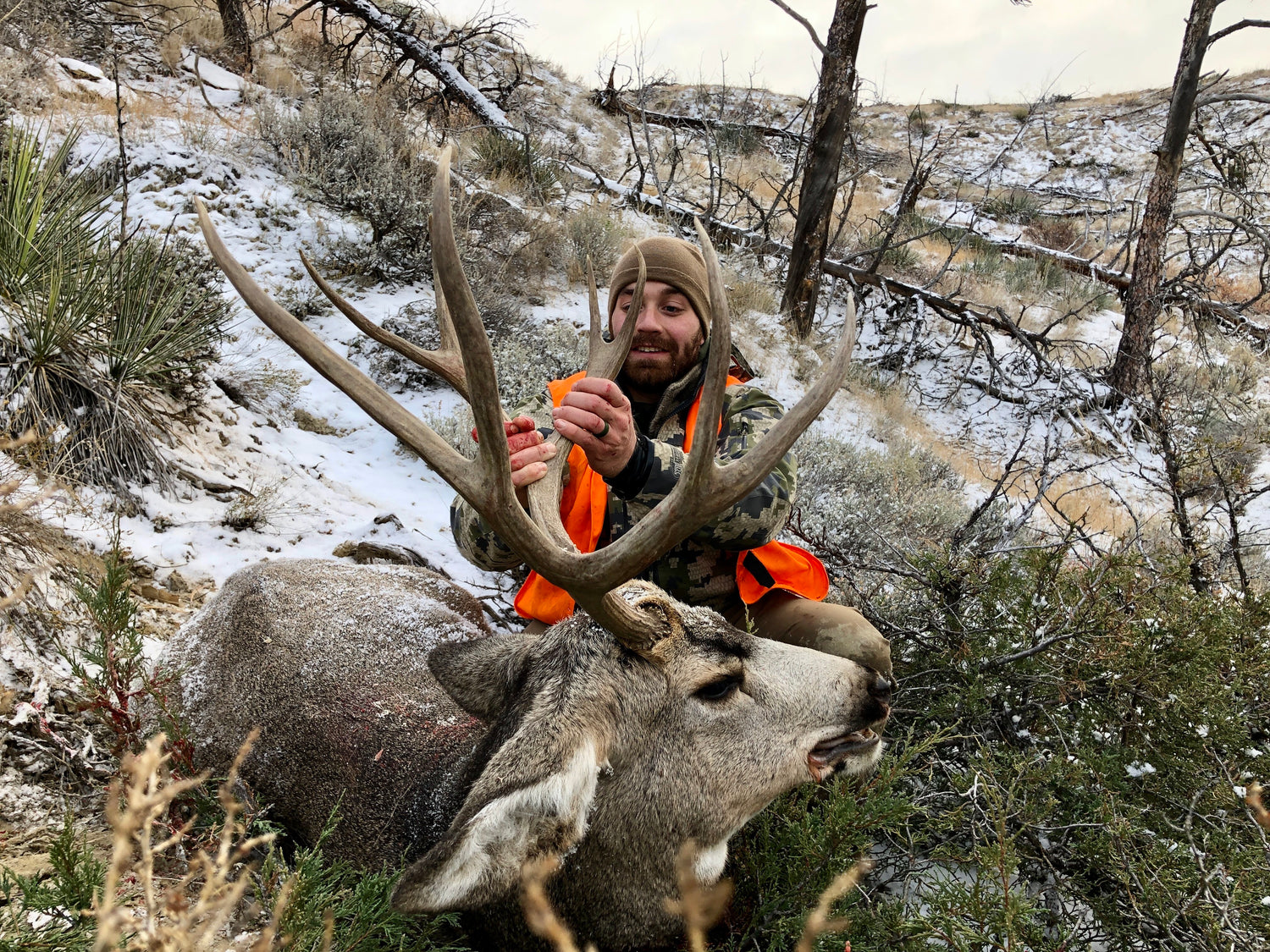 Late Season Backcountry Adventures