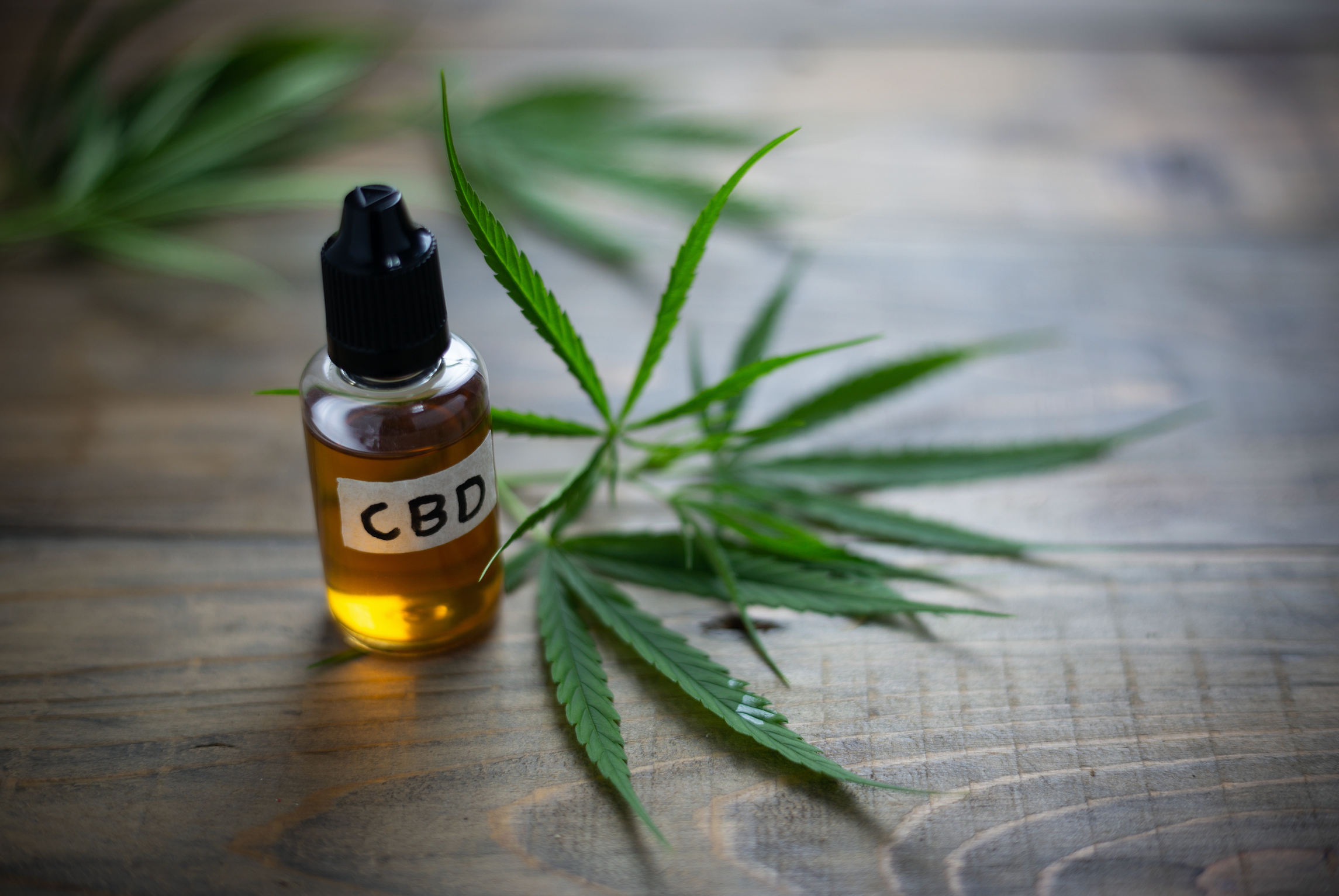 Brain Doc and Downhill Junkie Explains the Science of Cannabidiol (CBD)