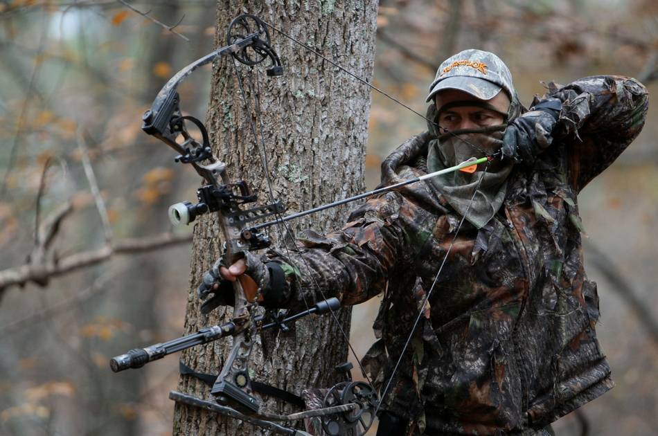 Archery Hunting: Selecting A Bow