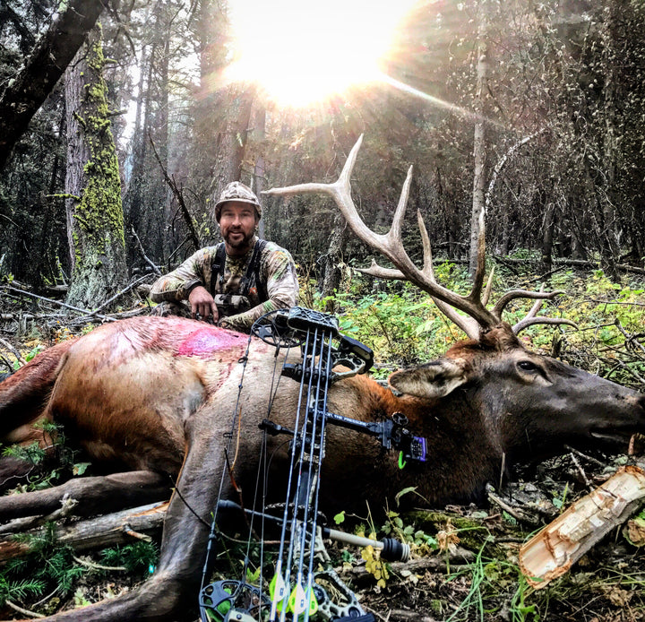 Back Country Elk Hunting With a Bow