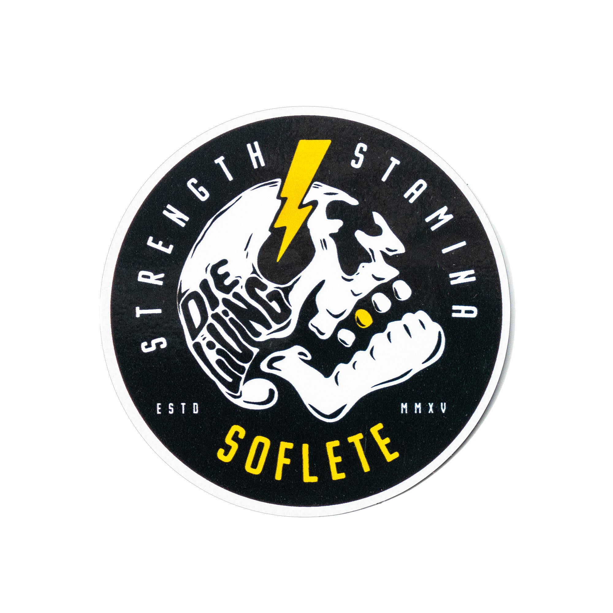 24-Hour Blowout: $85 OFF Vault Duffel + FREE Sticker Bundle